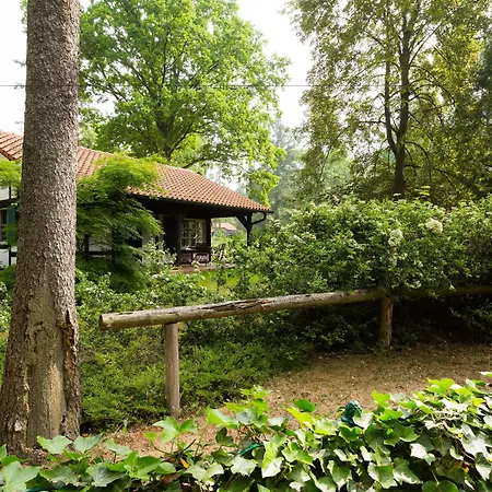Gut Klostermuehle & Medical فندق Alt Madlitz