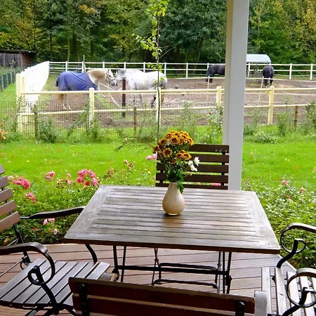 Gut Klostermuehle & Medical Alt Madlitz