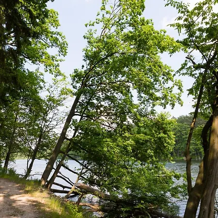 Gut Klostermuehle & Medical 4*