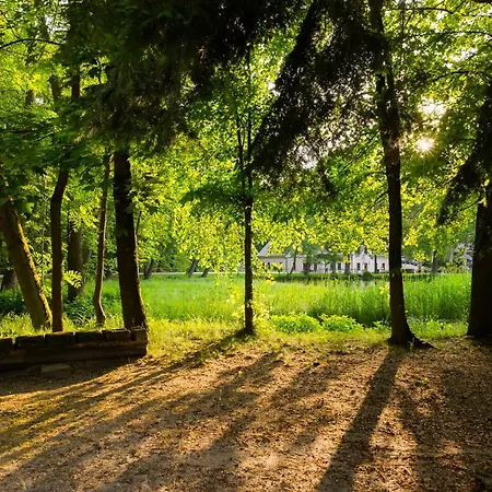 Gut Klostermuehle & Medical 4*