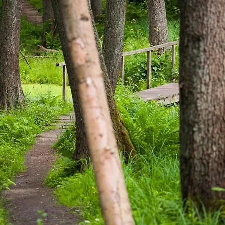 Gut Klostermuehle & Medical Alt Madlitz