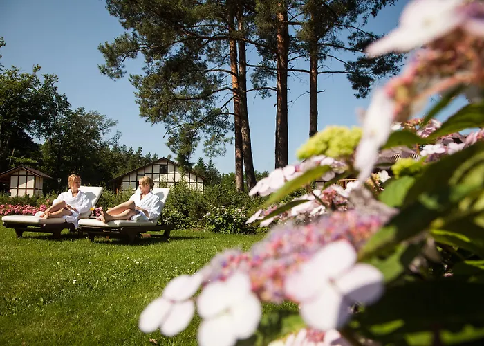 Gut Klostermuehle & Medical فندق 4*