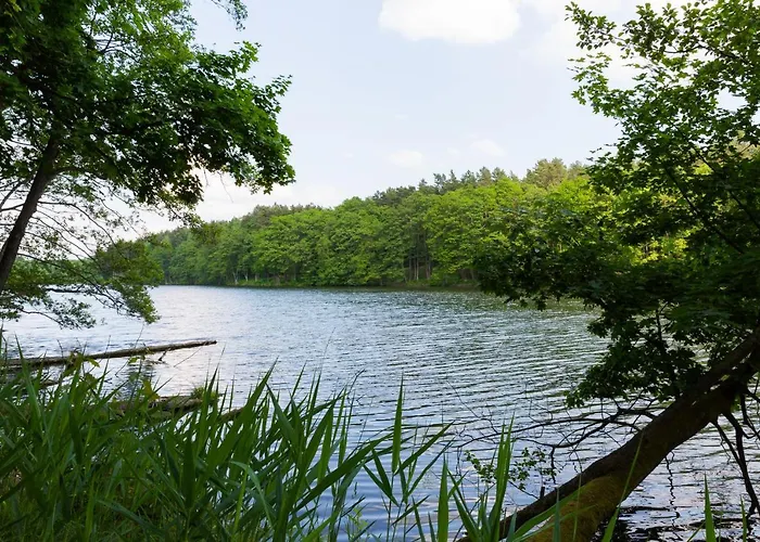 Gut Klostermuehle & Medical 4* Alt Madlitz