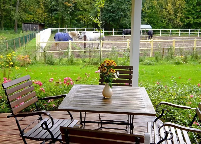 Gut Klostermuehle & Medical Alt Madlitz