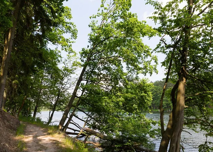 Gut Klostermuehle & Medical 4*